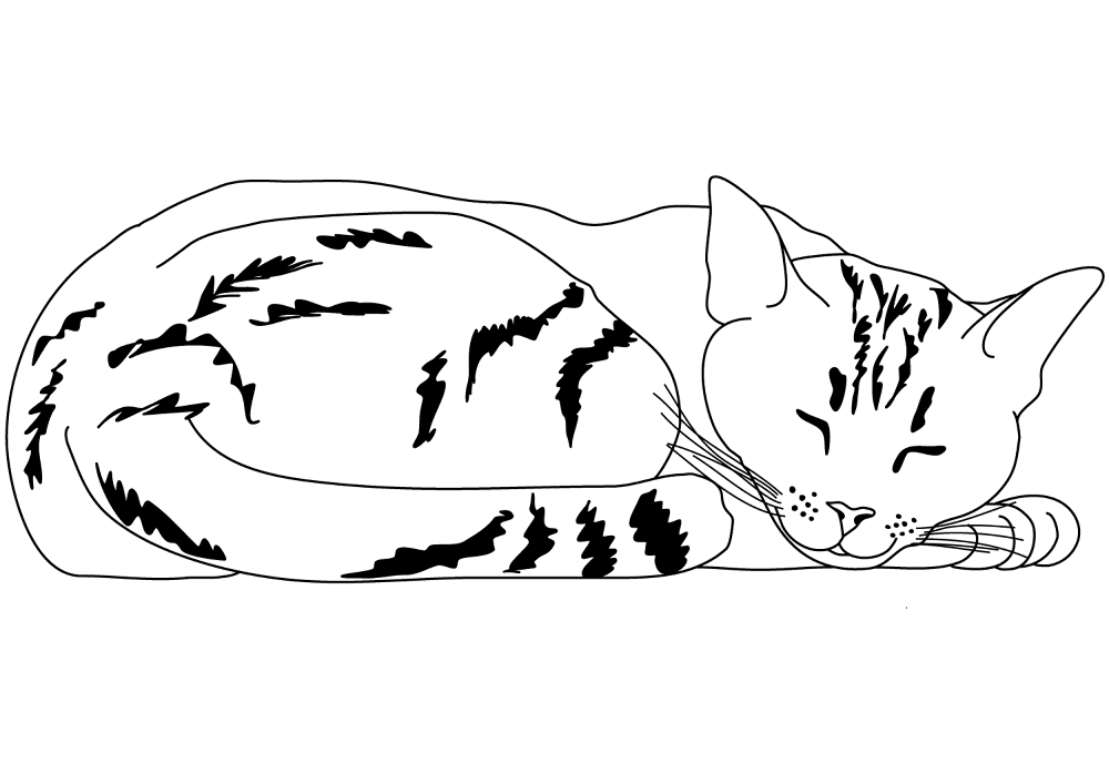 Sleeping Striped Cat Coloring Page Md Coloring Page — Free Printable — free printable coloring page