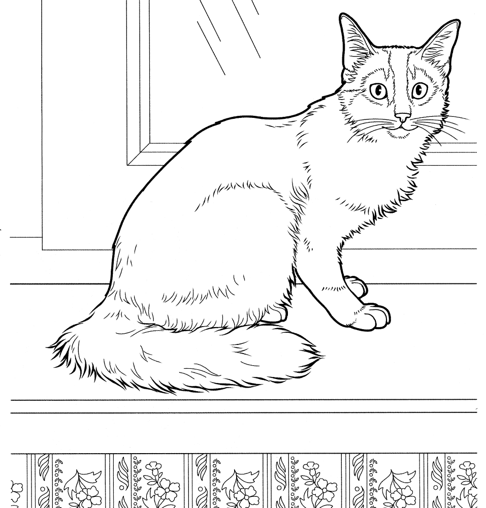 Somali Cat Coloring Page Md Coloring Page — Free Printable — free printable coloring page