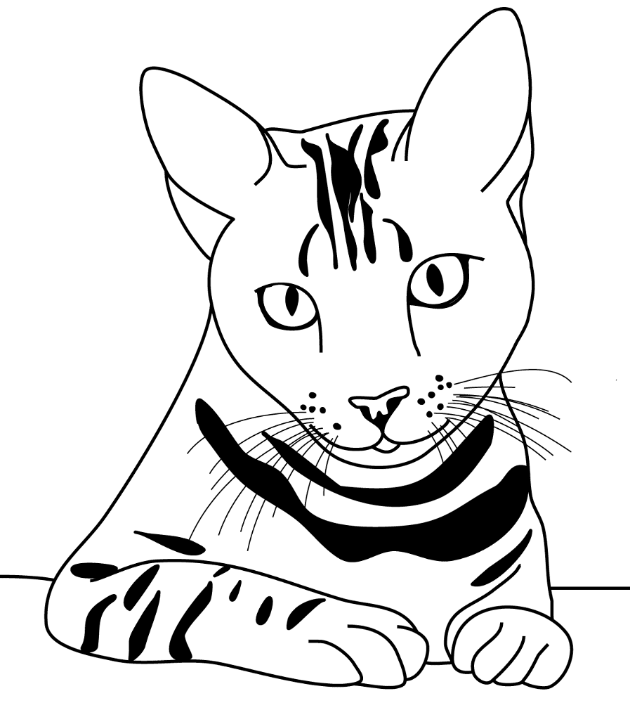 Striped Cat Coloring Page Md Coloring Page — Free Printable — free printable coloring page