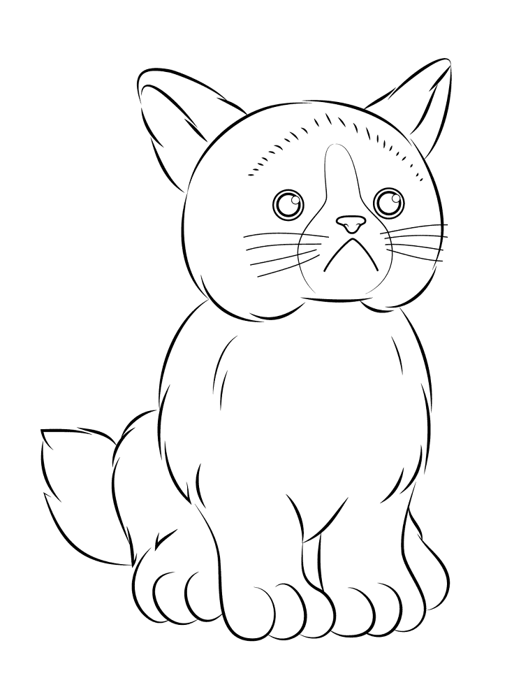 Webkinz Grumpy Cat Coloring Page Md Coloring Page — Free Printable — free printable coloring page