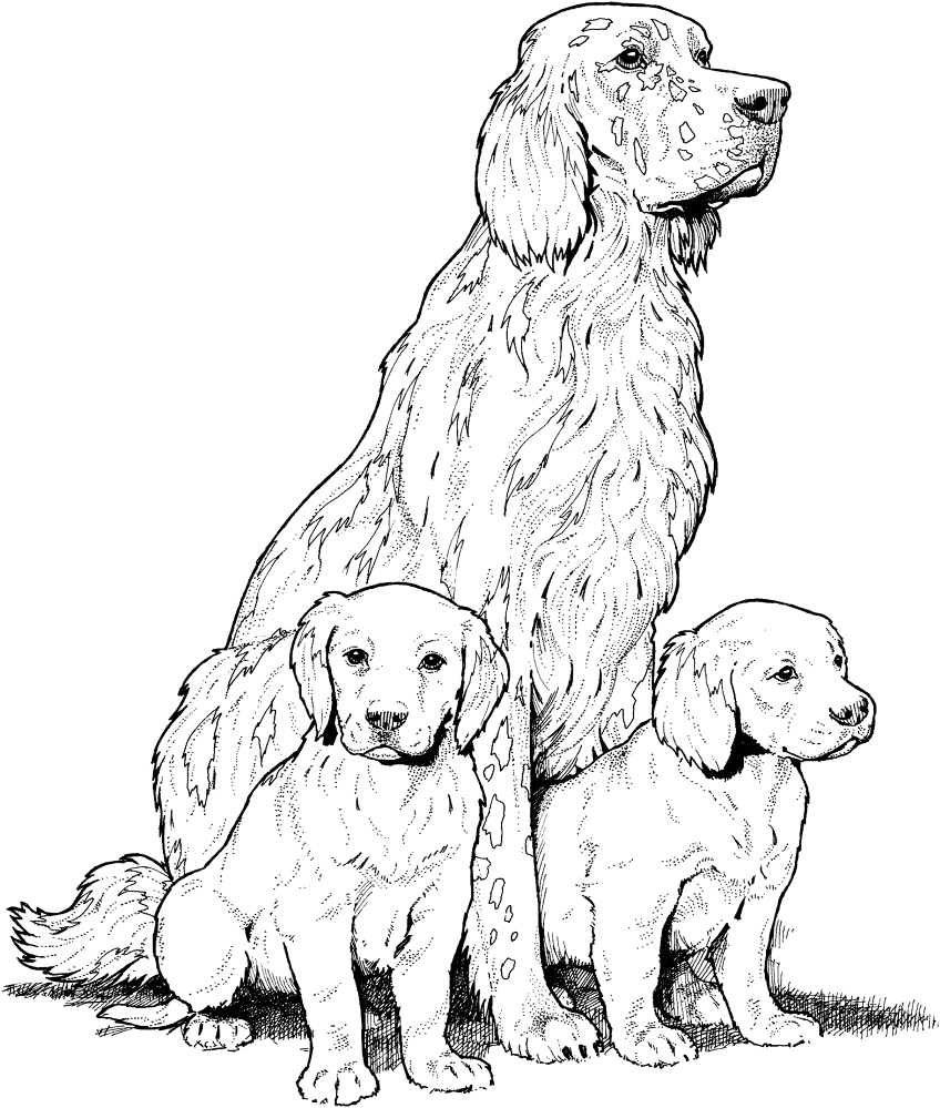 Labrador With Puppies Coloring Page Md Coloring Page — Free Printable — free printable coloring page