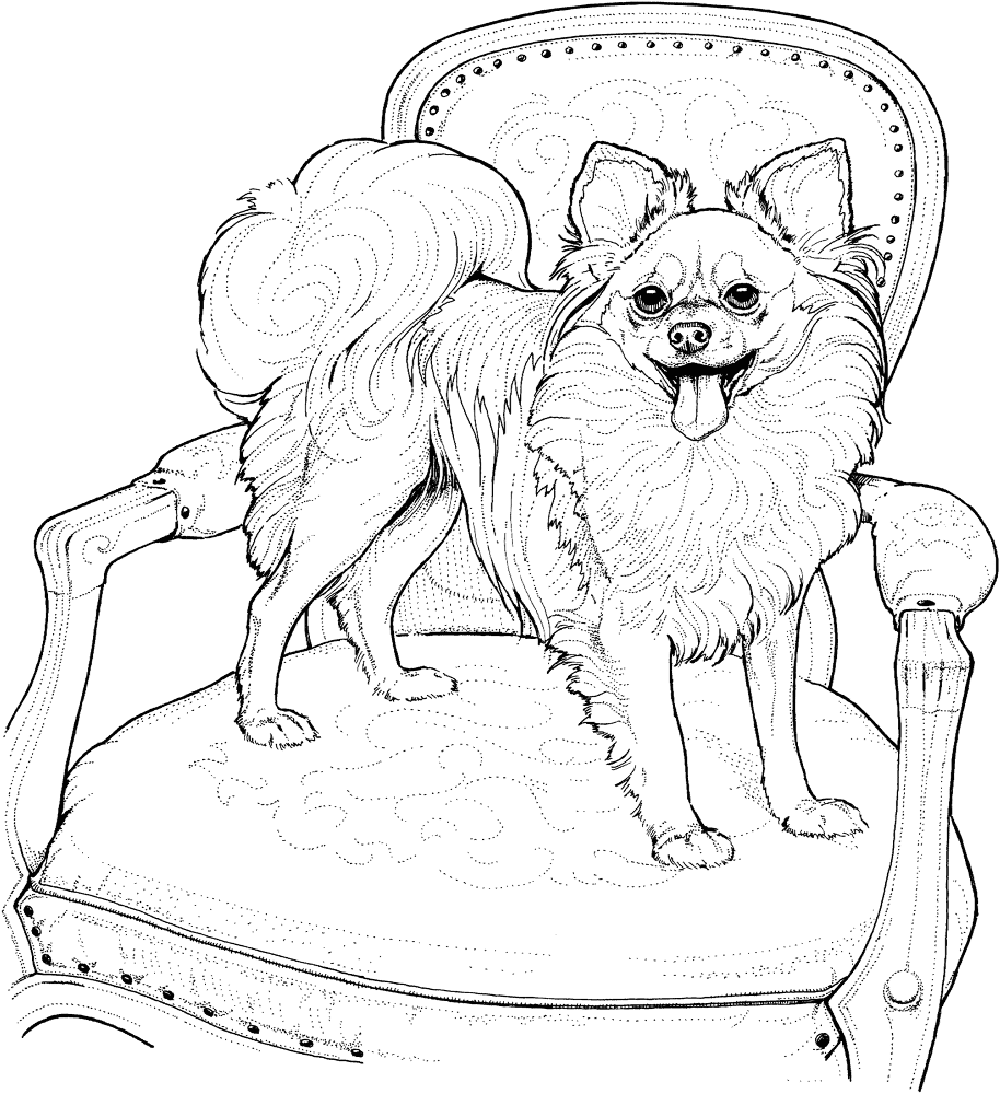 Papillon Coloring Page Md Coloring Page — Free Printable — free printable coloring page