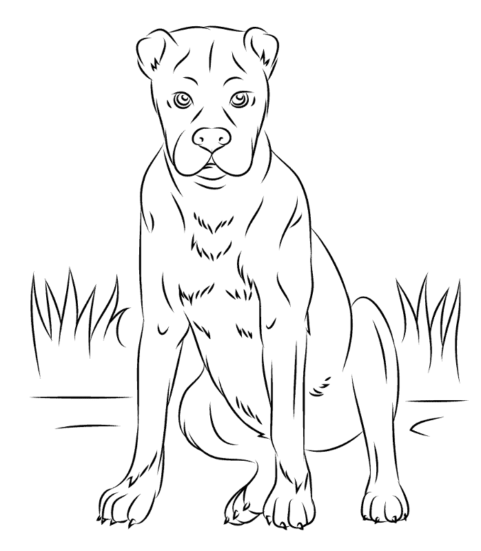 Boxers Coloring Page Md Coloring Page — Free Printable — free printable coloring page