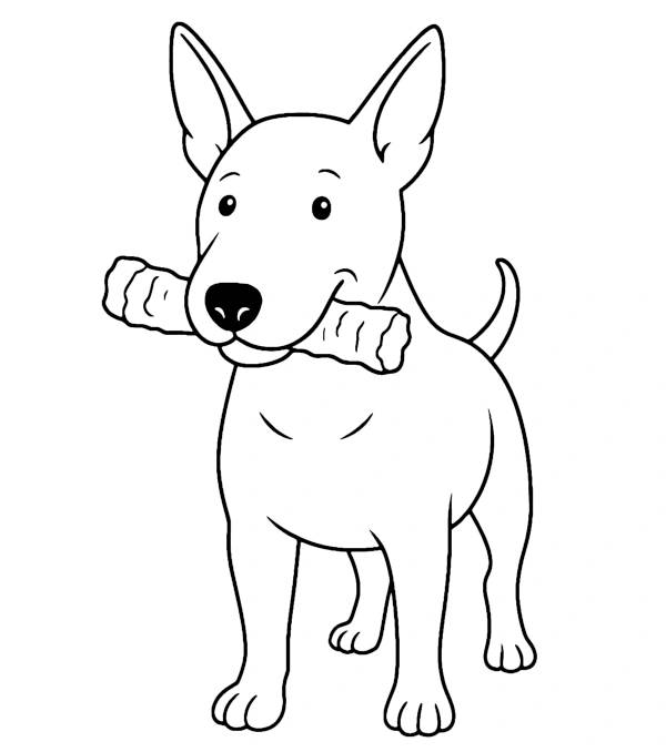 Bull Terrier Dog Coloring Page Coloring Page — Free Printable — free printable coloring page