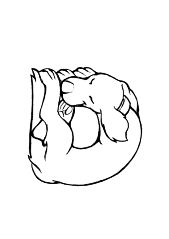 D Is For Dog Coloring Page Md Coloring Page — Free Printable — free printable coloring page