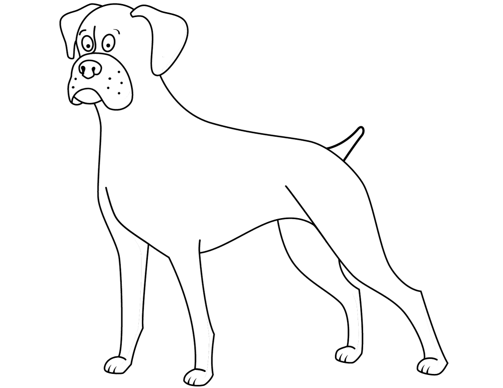 Funny Boxer Coloring Page Md Coloring Page — Free Printable — free printable coloring page