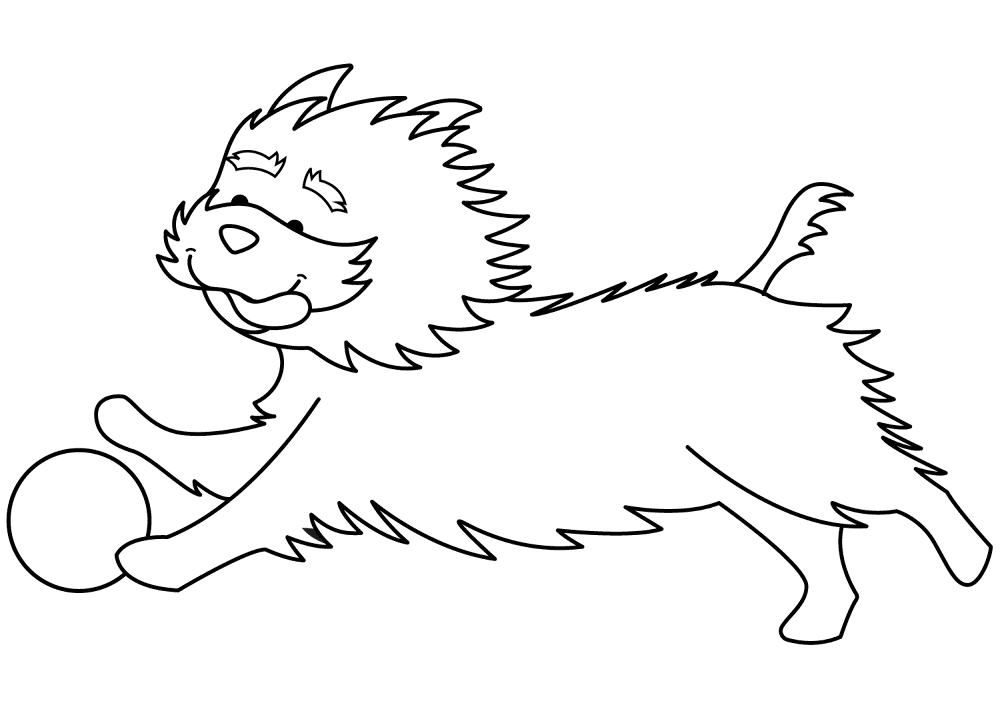 Funny Yorkshire Terrier Playing Ball Coloring Page Md Coloring Page — Free Printable — free printable coloring page