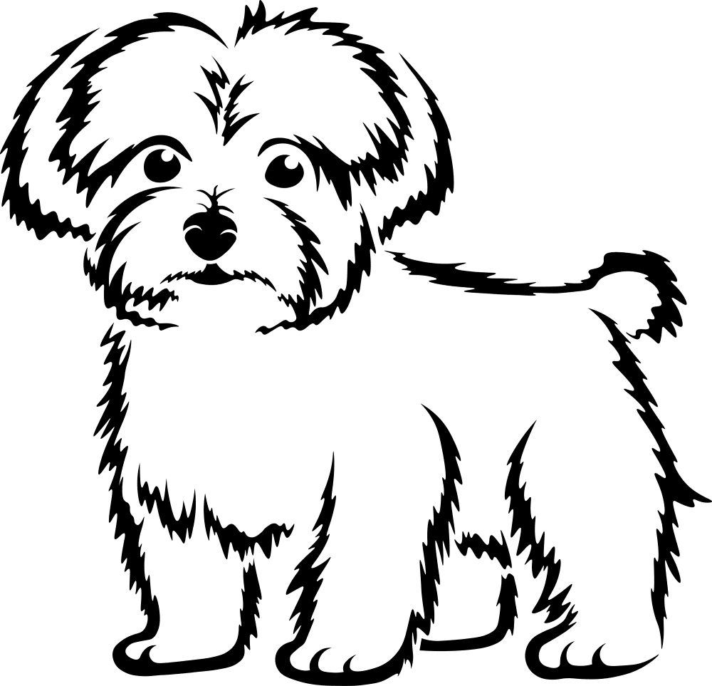 Maltese Dog Coloring Page Md Coloring Page — Free Printable — free printable coloring page