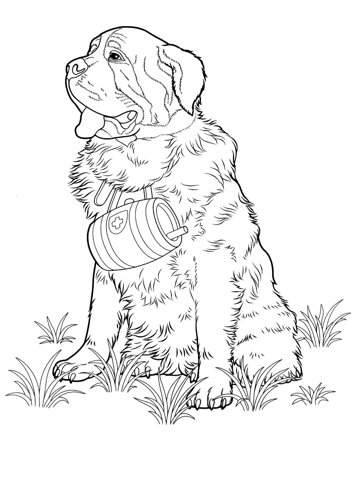 Senbernar Coloring Page Md Coloring Page — Free Printable — free printable coloring page