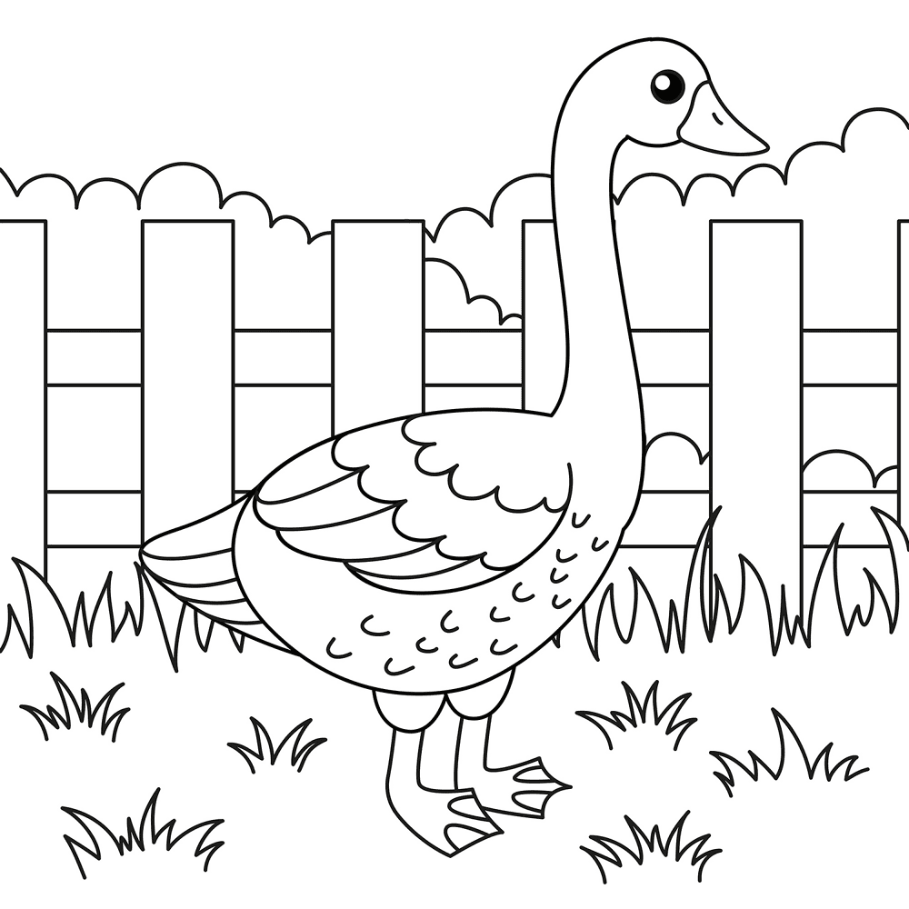 Cartoon Goose 2 Coloring Page Md Coloring Page — Free Printable — free printable coloring page