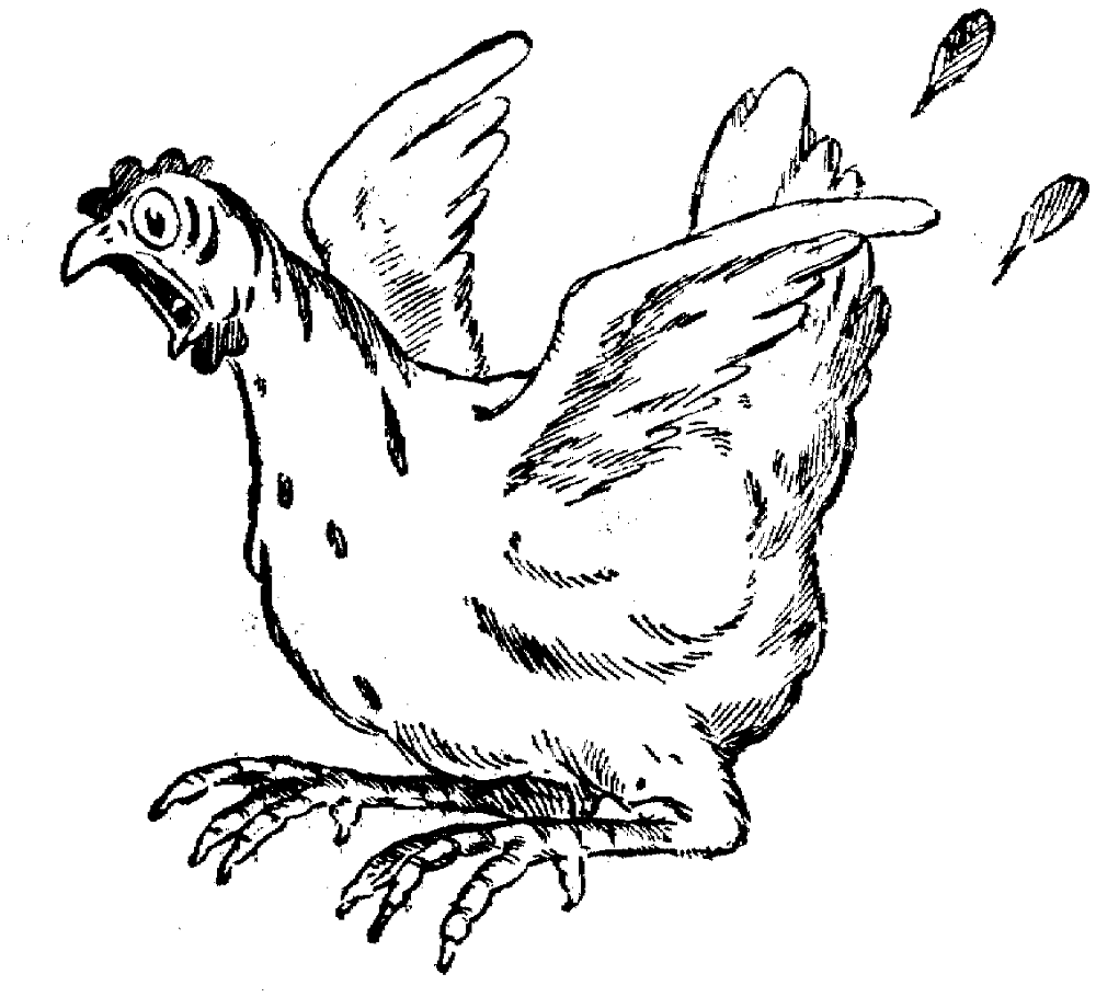 Chicken Runs Coloring Page Md Coloring Page — Free Printable — free printable coloring page