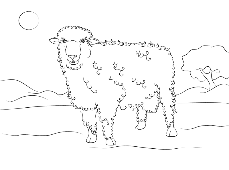 Cute Corriedale Sheep Coloring Page Md Coloring Page — Free Printable — free printable coloring page