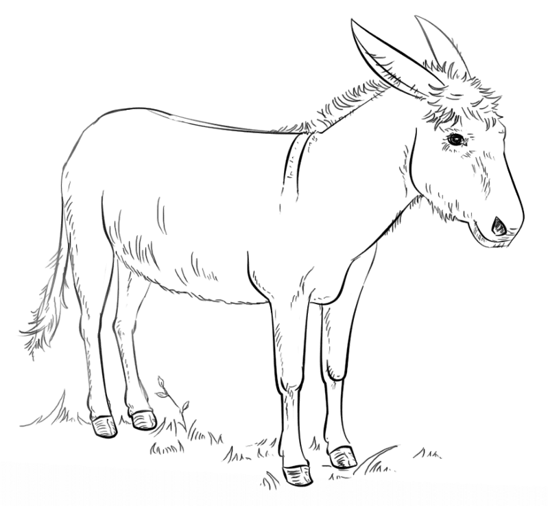 Donkey Coloring Page Md Coloring Page — Free Printable — free printable coloring page