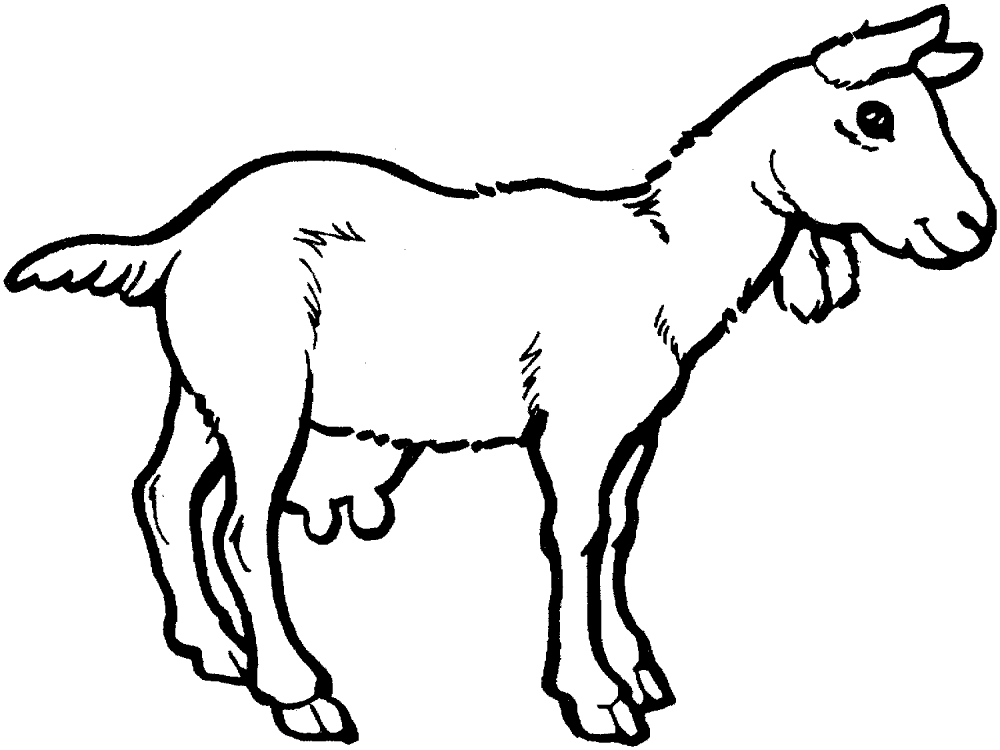 Goat 2 Coloring Page Md Coloring Page — Free Printable — free printable coloring page