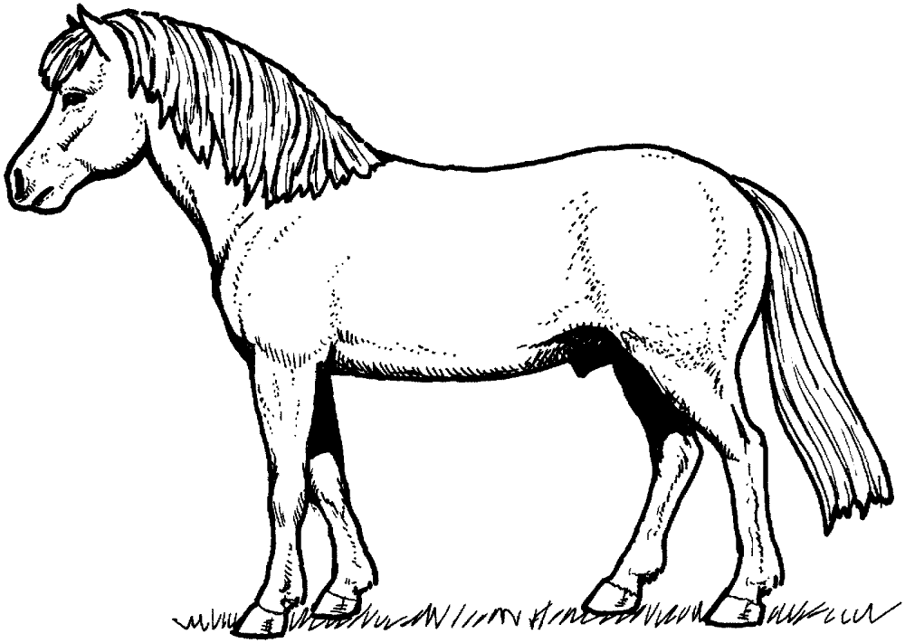 Horse 9 Coloring Page Md Coloring Page — Free Printable — free printable coloring page