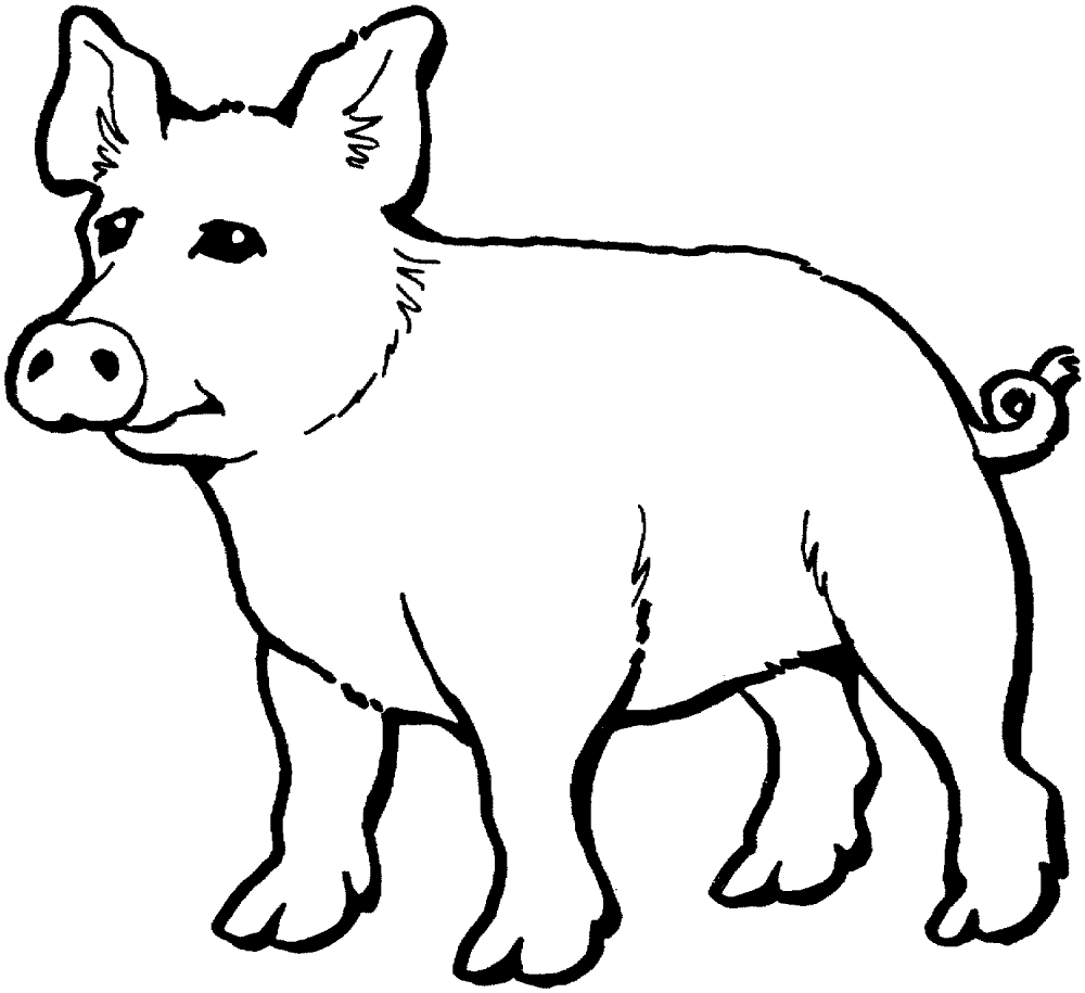 Pig 17 Coloring Page Md Coloring Page — Free Printable — free printable coloring page