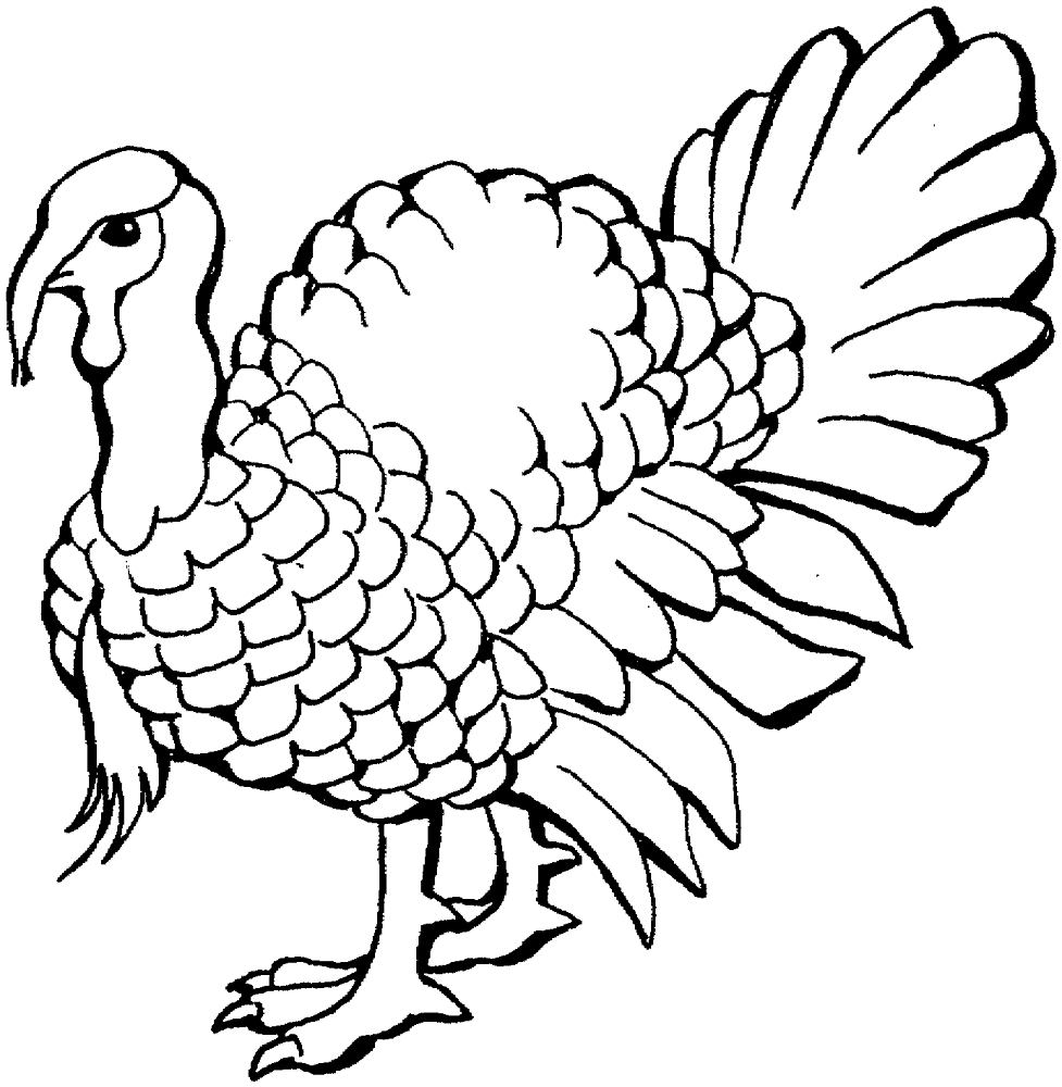 Turkey 2 Coloring Page Md Coloring Page — Free Printable — free printable coloring page