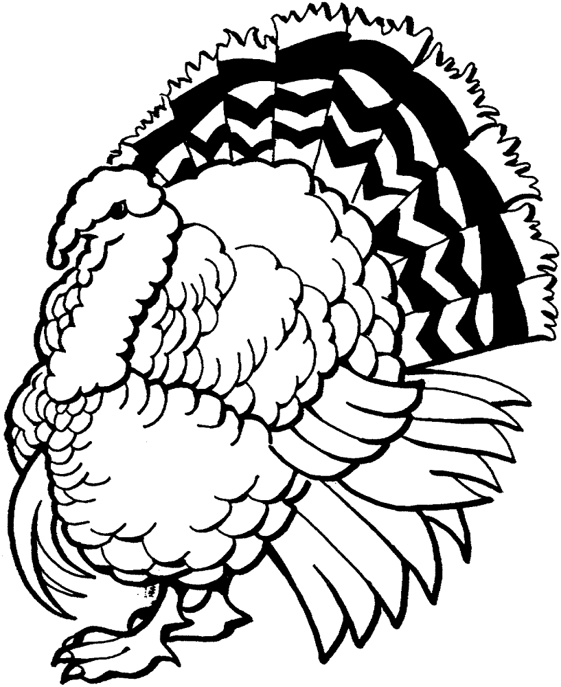 Turkey 3 Coloring Page Md Coloring Page — Free Printable — free printable coloring page