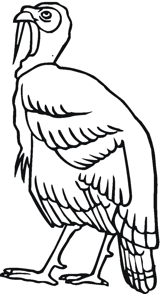 Turkey 8 Coloring Page Md Coloring Page — Free Printable — free printable coloring page