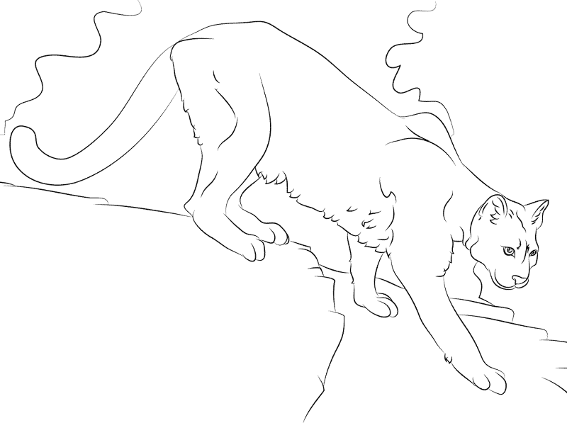 Cougar Coloring Pages Md Coloring Page — Free Printable — free printable coloring page