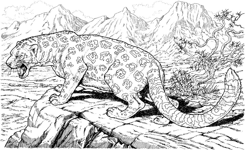 Leopard Roars On Hills Coloring Page Md Coloring Page — Free Printable — free printable coloring page