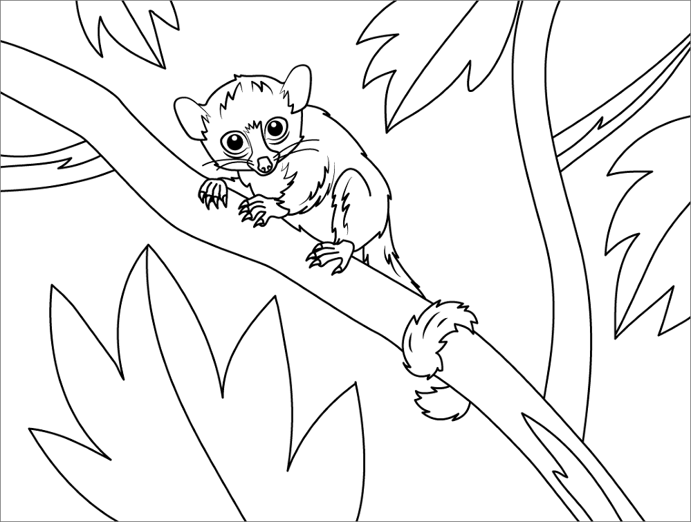 Madame Berthes Mouse Lemur Coloring Page Md Coloring Page — Free Printable — free printable coloring page