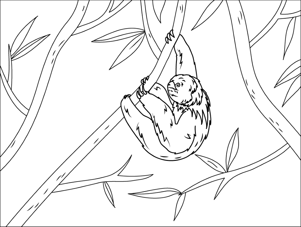 Maned Sloth Coloring Page Md Coloring Page — Free Printable — free printable coloring page
