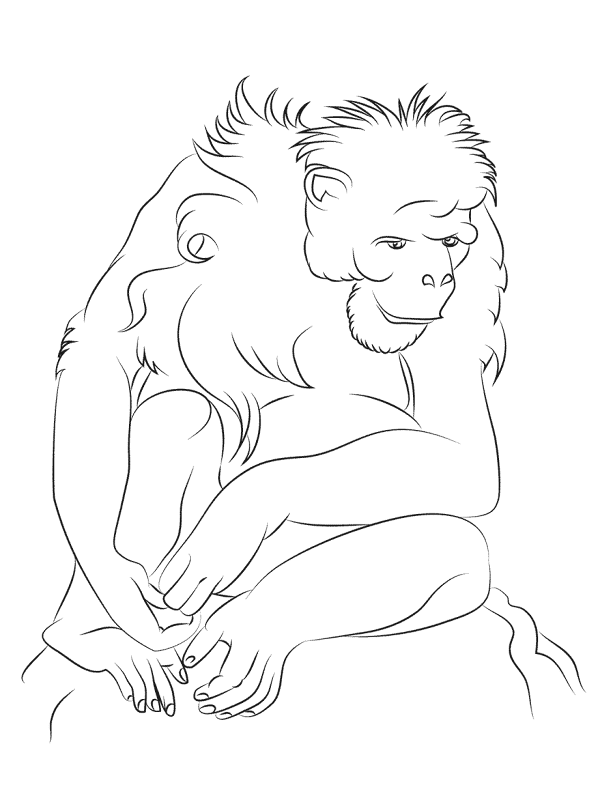 Sitting Chimpanzee Coloring Pages Md Coloring Page — Free Printable — free printable coloring page