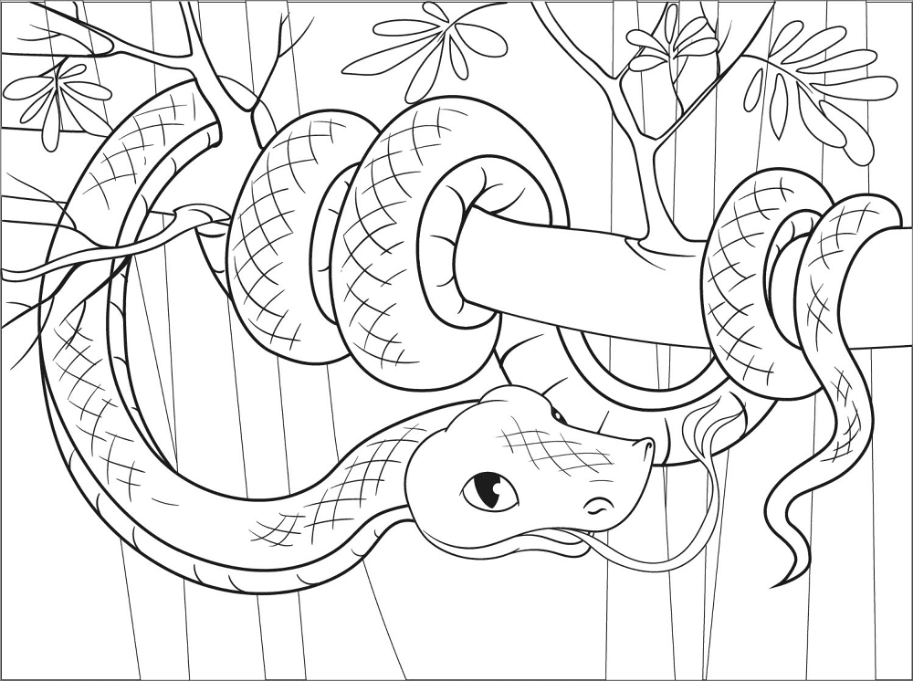 Snake Coloring Page Md Coloring Page — Free Printable — free printable coloring page