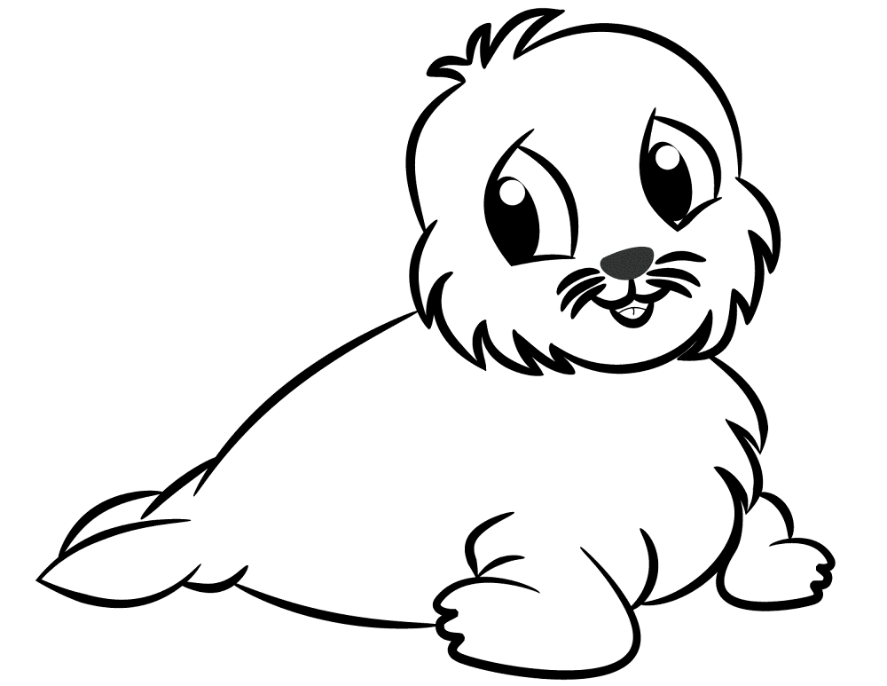 Baby Seal Coloring Page Md Coloring Page — Free Printable — free printable coloring page