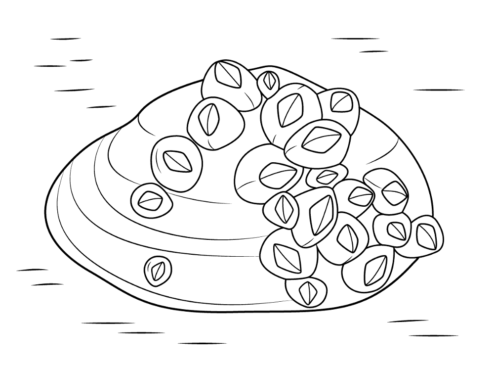Barnacles On Soft Shell Clam Coloring Pages Md Coloring Page — Free Printable — free printable coloring page
