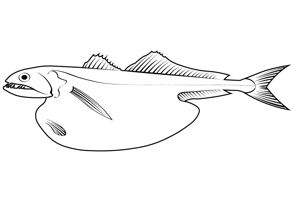 Black Swallower Chiasmodon Niger Coloring Page Md Coloring Page — Free Printable — free printable coloring page