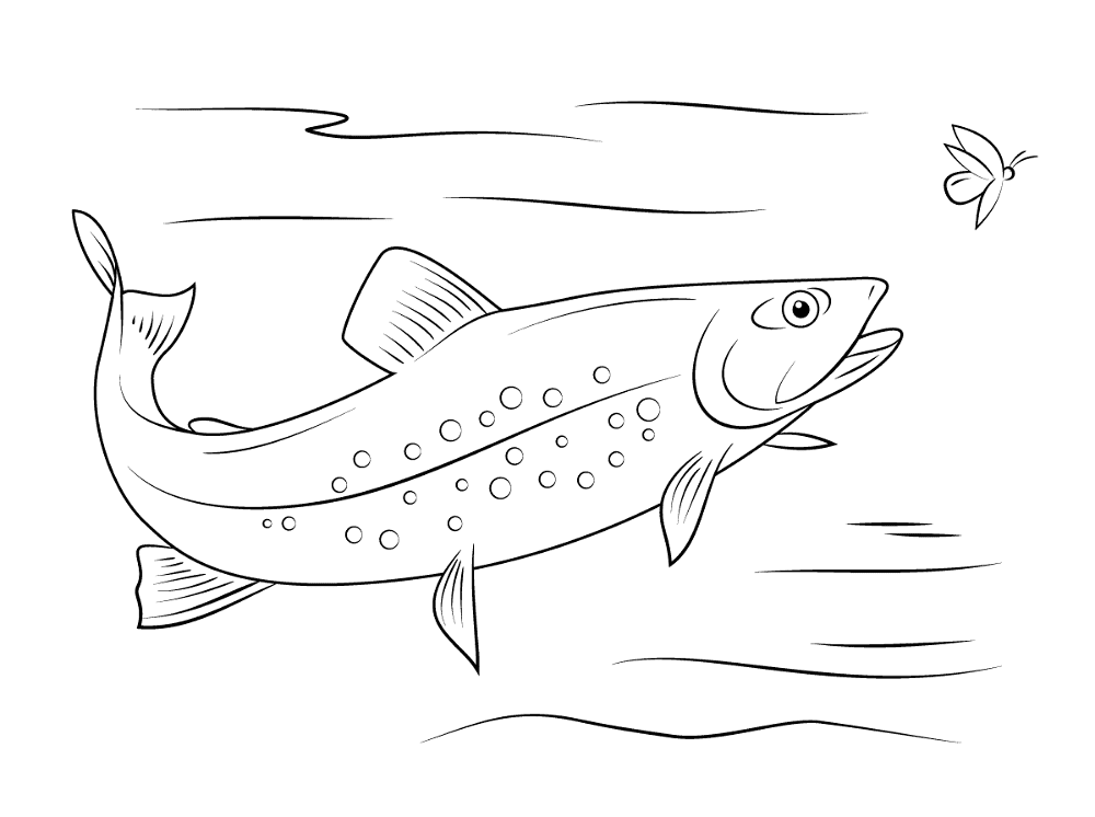 Brook Trout Coloring Pages Md Coloring Page — Free Printable — free printable coloring page