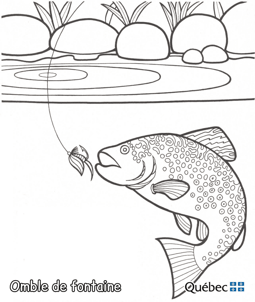 Brook Trout Md Coloring Page — Free Printable — free printable coloring page