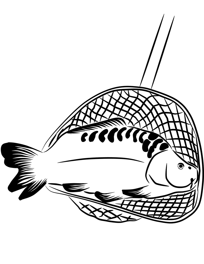 Carp In Landing Net Coloring Page Md Coloring Page — Free Printable — free printable coloring page
