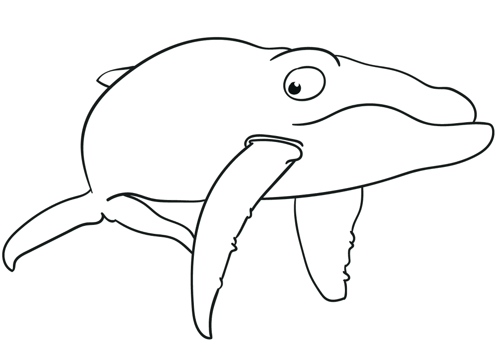 Cartoon Blue Whale Coloring Page Md Coloring Page — Free Printable — free printable coloring page