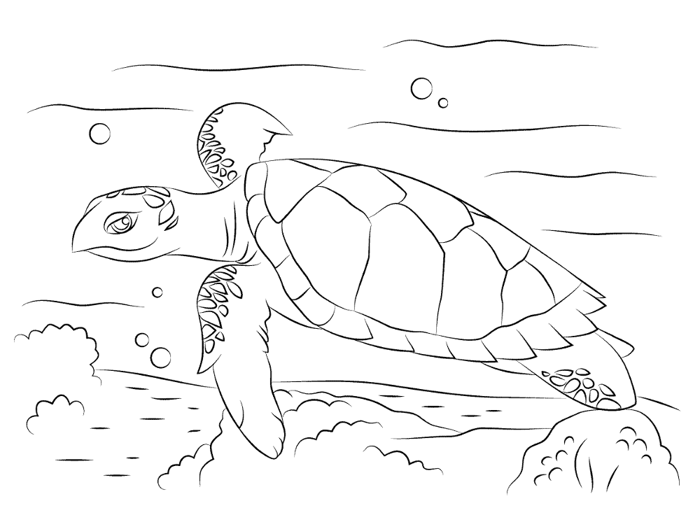 Cute Hawksbill Sea Turtle Coloring Pages Md Coloring Page — Free Printable — free printable coloring page