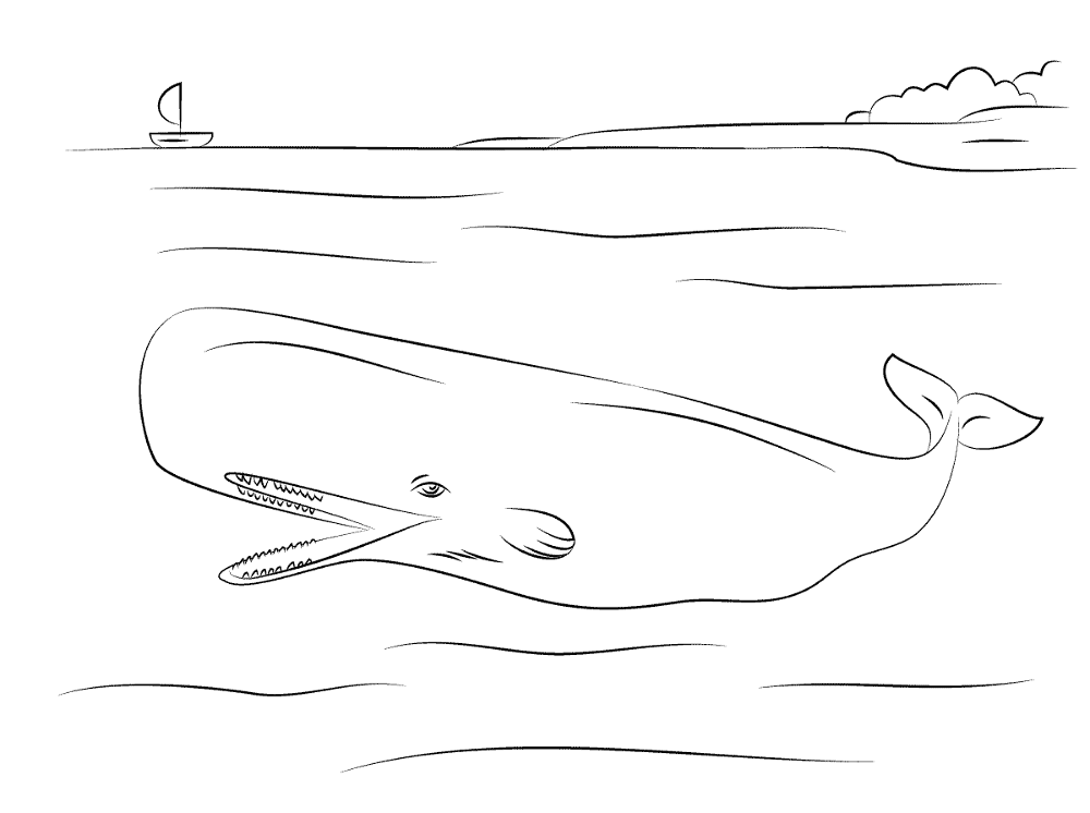 Cute Sperm Whale Coloring Pages Md Coloring Page — Free Printable — free printable coloring page