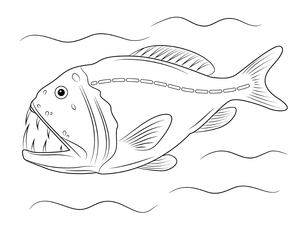 Fangtooth Fish Md Coloring Page — Free Printable — free printable coloring page