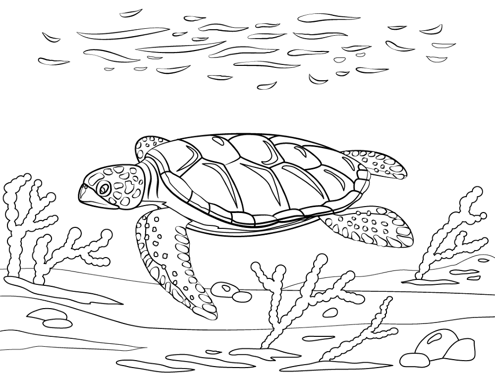 Flatback Sea Turtle Coloring Page Md Coloring Page — Free Printable — free printable coloring page