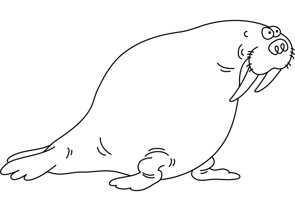 Funny Walrus Coloring Page Md Coloring Page — Free Printable — free printable coloring page