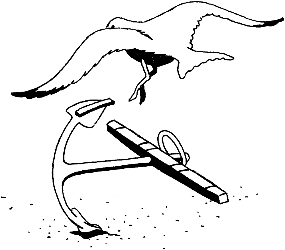 Gull 5 Coloring Page Md Coloring Page — Free Printable — free printable coloring page