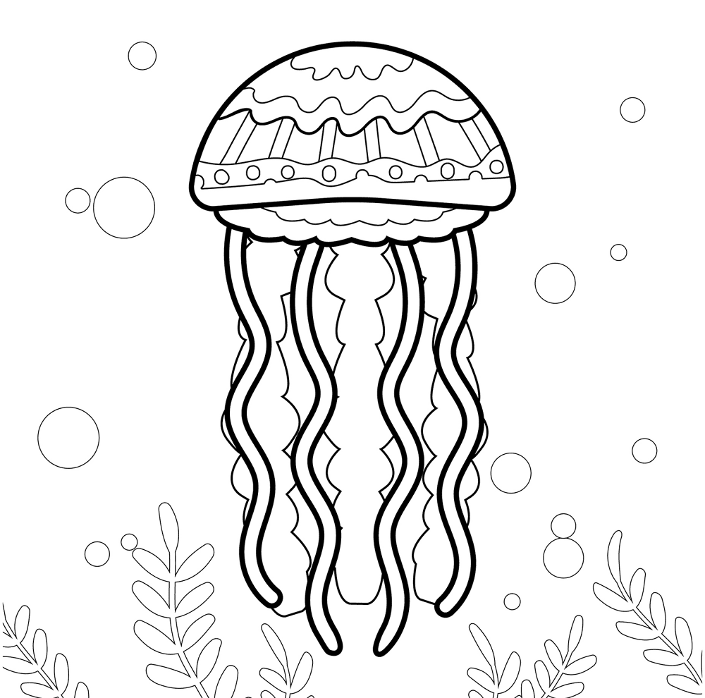 Jellyfish 2 Coloring Page Md Coloring Page — Free Printable — free printable coloring page