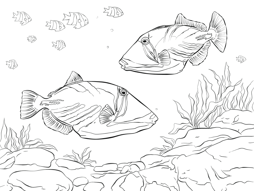 Lagoon Triggerfish Coloring Pages Md Coloring Page — Free Printable — free printable coloring page