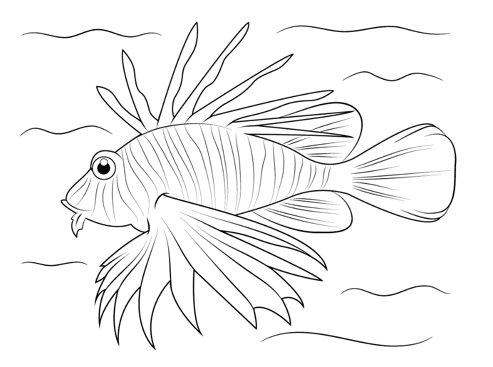 Lionfish Coloring Pages Md Coloring Page — Free Printable — free printable coloring page