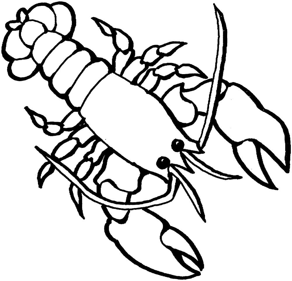 Lobster 2 Coloring Page Md Coloring Page — Free Printable — free printable coloring page