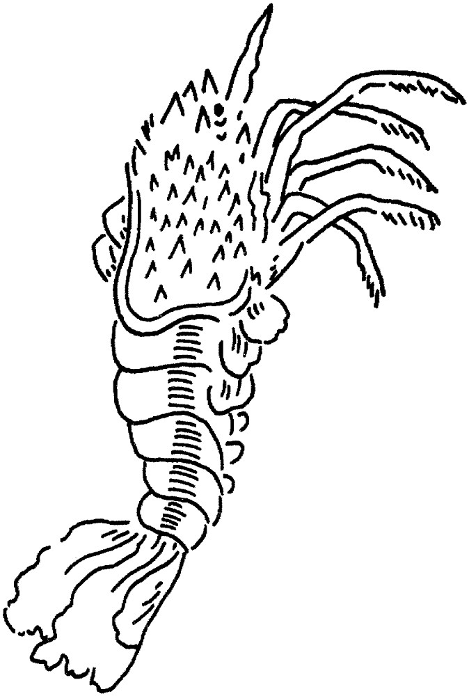 Lobster 3 Coloring Page Md Coloring Page — Free Printable — free printable coloring page