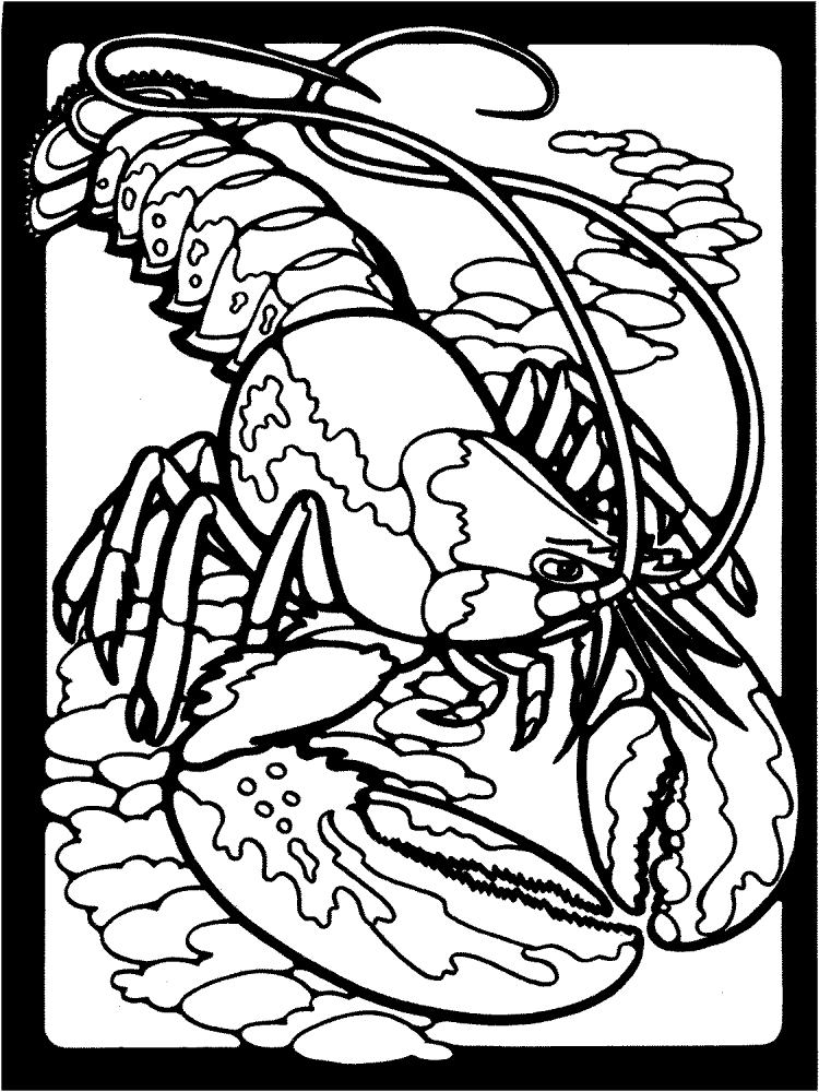Lobster 4 Coloring Page Md Coloring Page — Free Printable — free printable coloring page