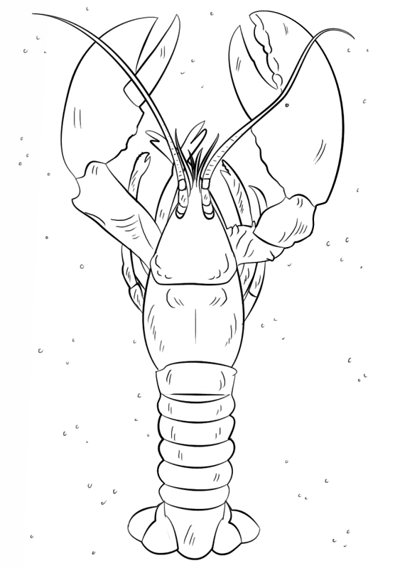 Lobster Coloring Page Md Coloring Page — Free Printable — free printable coloring page