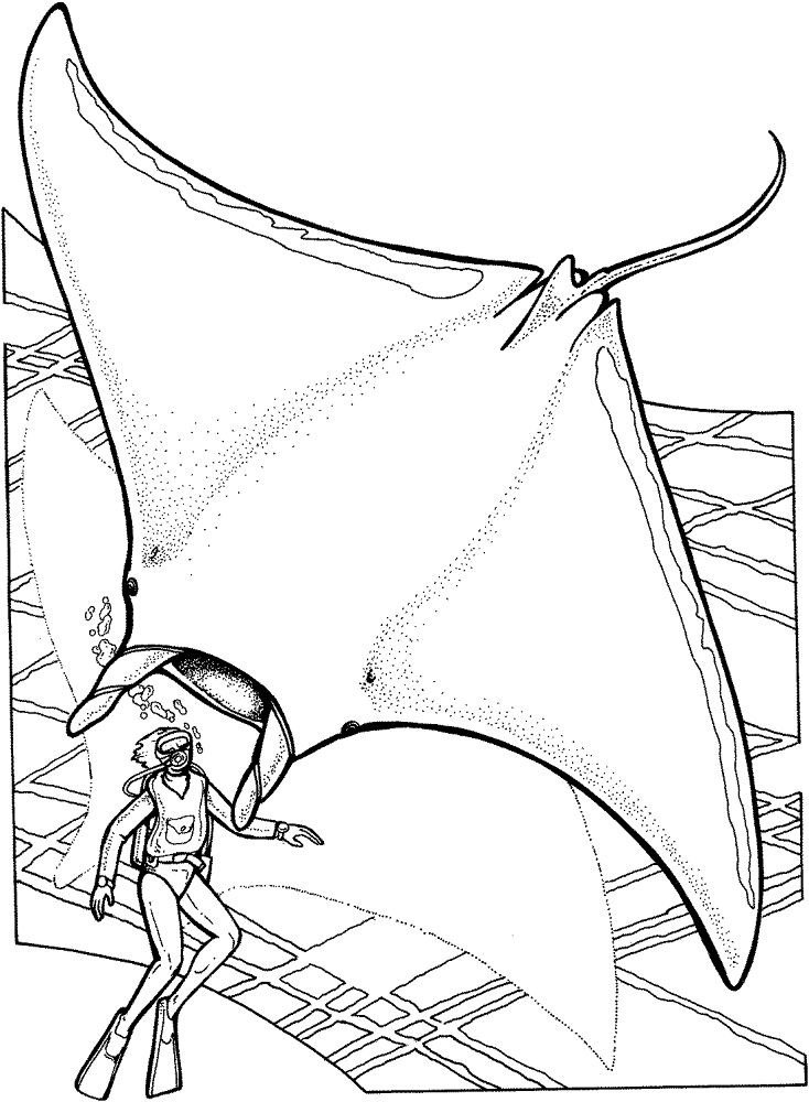 Manta Ray And Scuba Coloring Page Md Coloring Page — Free Printable — free printable coloring page